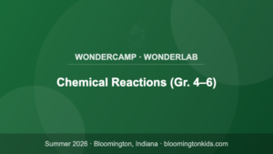Chemical Reactions (Gr. 4–6) - WonderCamp · WonderLab